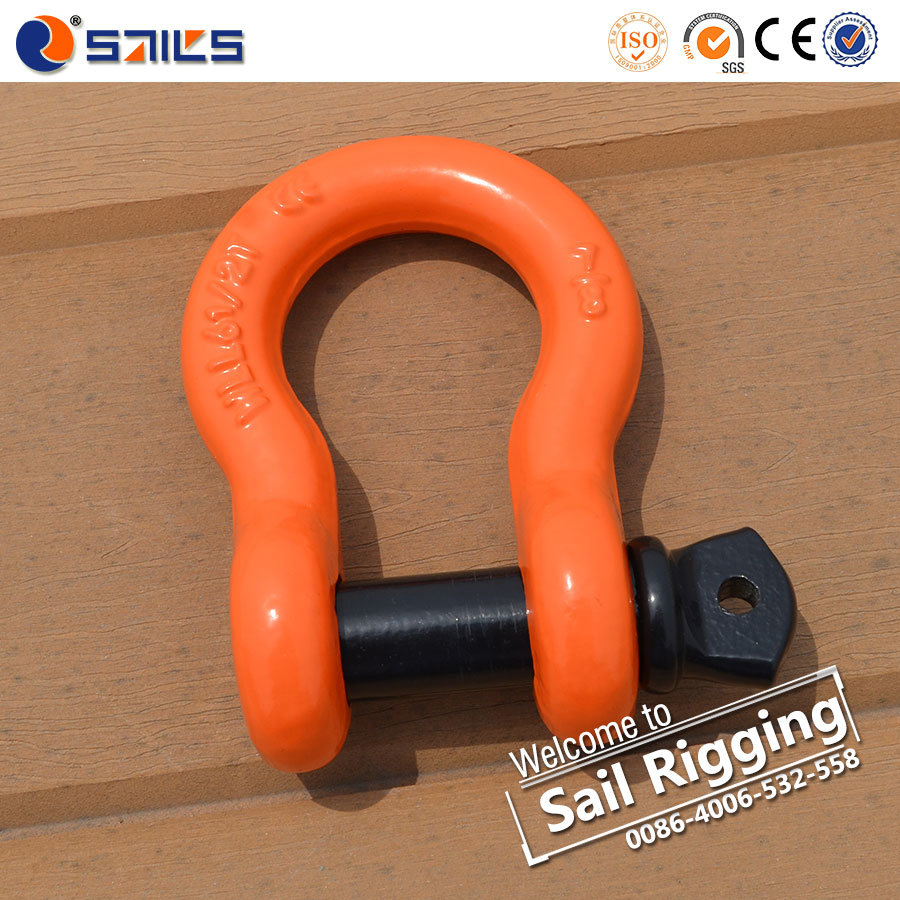 BV Certificated China Hardware Screw Pin Type Anchor Shackle