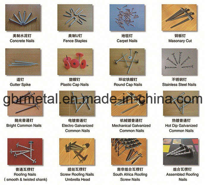 Q235, Q195 Common Loose Nails, E. G., HDG, Stainless Steel Nails