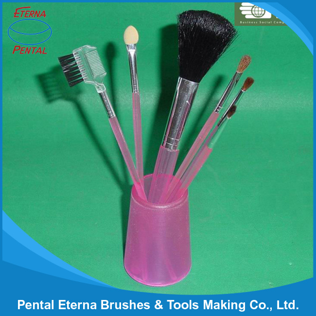 Professional Cosmetic Brush Set Hzb-008