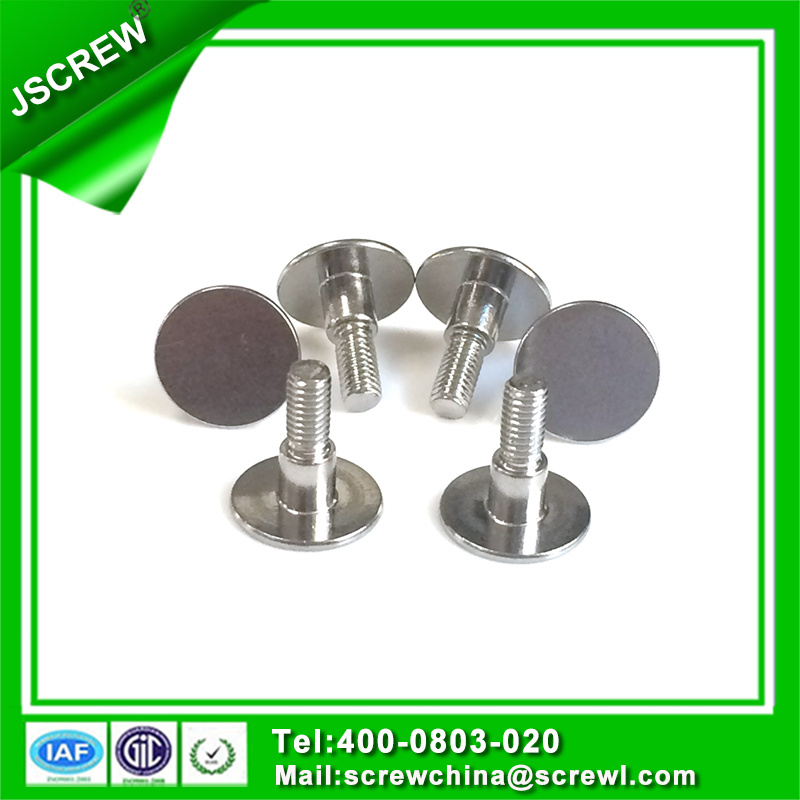 Screw Manufacture Customized Made Round Flat Head M4 Screw for Building