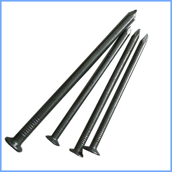 2 Inch Polished Common Nail /Common Wire Nail/Common Iron Nail