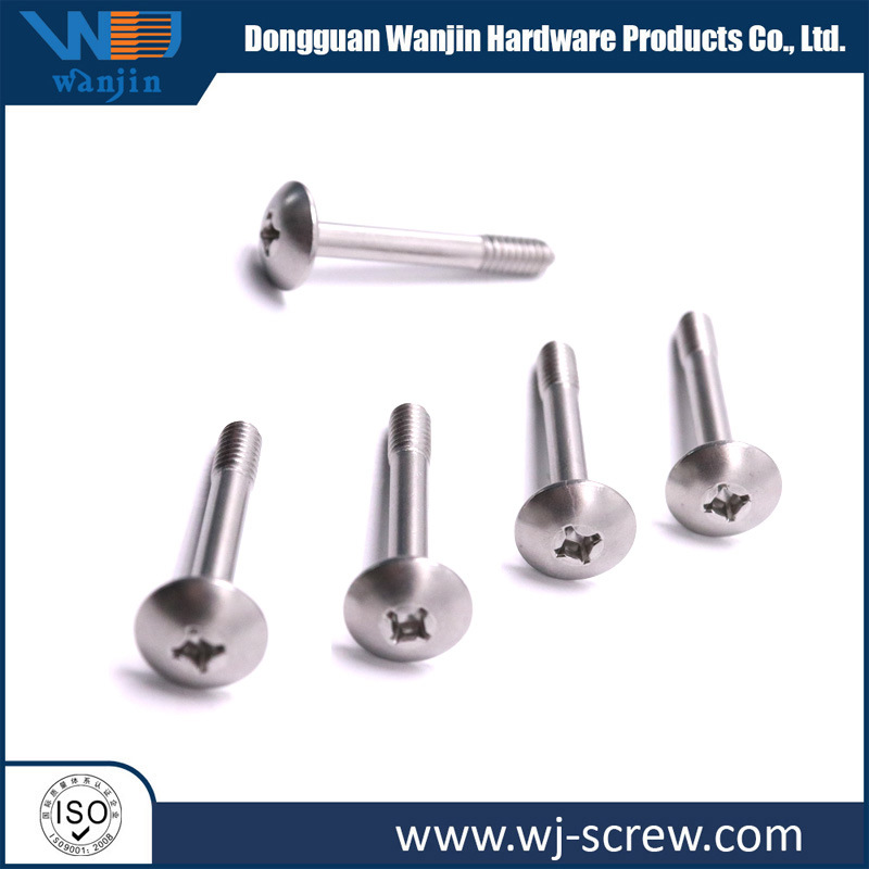 Customized Precision Stainless Steel Plated Round Head Screw Nail