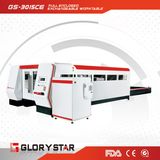 1000W Ipg Fiber Laser Cutting Machine and Laser Cutter