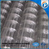 Welded Wire Mesh for Concrete Building
