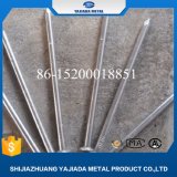 High Quality Building Q195 Polished Common Nail Use in Wood Nail