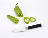 Soft Touch Handle Stainless Steel Paring Fruit Knife