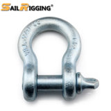 Electric Galvanized Us Type Forged Screw Pin Bow Shackle