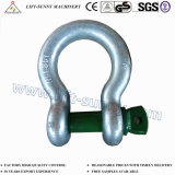 G209 Us Type Drop Forged Screw Pin Anchor Shackles