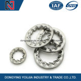 Chinese High Quality Ss304/316 Stainless Steel Toothed Lock Washer