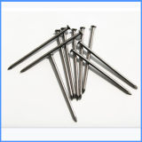 Hot Sale Common Iron Wire Nail for Construction