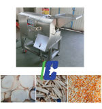 Qd2000 Potato Vegetable Cutter/Cutting Machine with Ce Certification