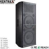 Top Seller Supply OEM Professional 900 Watt Audio Stage Speaker