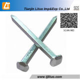 Hot Dipped Electro Galvanized Square Boat Nails