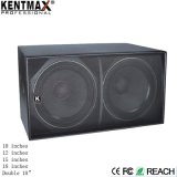 Premium Quality 900W Sw Series Hi Fi Professional Speaker