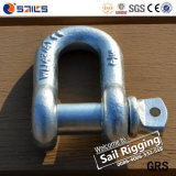 Drop Forged US Lifting Chain Shackle