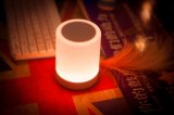 LED Bluetooth Speaker with Night Lamp