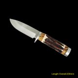 Fixed-Blade Knife with Bone Handle (#3607)