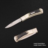 Folding Knife with Ox Bone Handle, Closed Length: 98mm (#3719-R)