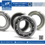6007 Zz 2RS Deep Groove Ball Bearing for Machinery