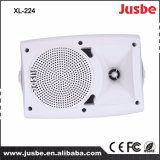 Two-Way Passive 4 Inches Wall Mounted Speaker XL-224