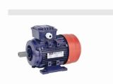 (CE/GS) Professional Power Tools Spare Parts Electric Motor (MT004)