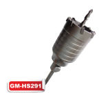 Hollow Electric Hammer Drill-Type C (GM-HS291)