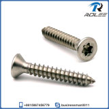 18-8/304/316 Stainless Steel Flat Head Torx Self Tapping Screw