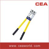 CEA Group International Co., Ltd.