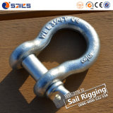 Drop Forged US Type Screw Pin Anchor Shackle
