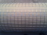 Hot Dipped Galvanized Welded Wire Mesh for Building Construction Material