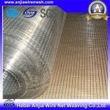 Building Material Galvanized Welded Wire Mesh with (CE and SGS)