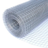 China Manufacturer Galvanized Welded Wire Netting for Building (WWN)