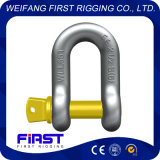 G210 Chinese Manufacturer of Marine Hardware D Shackle