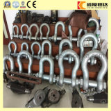 Us Type Chain Shackles G-2150/S-2150