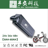 Silver Fish 48V 10ah Li-ion Battery Pack for E-Bike