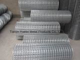 Electro Galvanized Square Wire Mesh for Building/Galvanized Iron Wire Mesh/Hot Dipped Galvanized Welded Wire Mesh