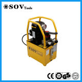 Double Acting Electric Pump