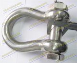 Stainless Steel SS304 or SS316 D Shackle Bow Shackle