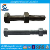 Stainless Steel Ss304 Ss 316 Hex Bolts and Nuts Zinc Plated Thread Bolt Hot DIP Galvanized 4.8 8.8 Hex Nut & Bolt (DIN933 AND DIN934)