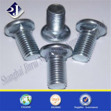 Zinc Plated Carriage Bolt for Building
