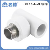 PPR Male Tee Type B Fitting for Building Material