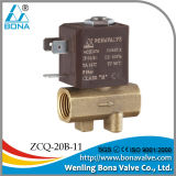 220VAC Leakage Detect Machine Brass Solenoid Valve (ZCQ-20B-11)