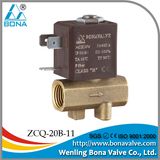 220VAC Leakage Detect Machine Brass Solenoid Valve (ZCQ-20B-11)