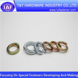 Super Quality M10 Size Spring Washer
