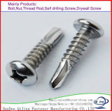 Screw/Nut/Bolt/Self Drilling SMS/Wood Screws/Machine Screws