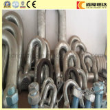 G-2150 Hardware Carbon Steel D Trawling Chain Shackles