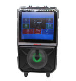 New Style Portable LCD Trolley Speaker with Colorful Ball light with LCD Screen