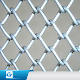 Plastic Coated Mesh /Chain Link Fence for Building