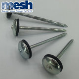 Common Nails/Coil Roofing Nail on Sale