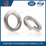 GB7244 Stainless Steel Heavy  Spring  Washers